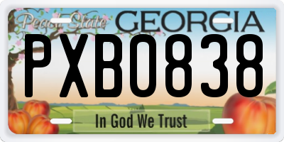 GA license plate PXB0838