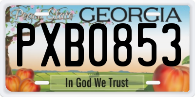 GA license plate PXB0853