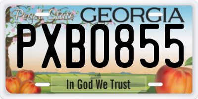 GA license plate PXB0855
