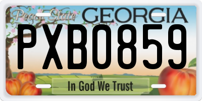 GA license plate PXB0859