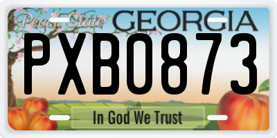 GA license plate PXB0873