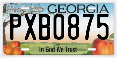 GA license plate PXB0875
