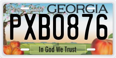 GA license plate PXB0876
