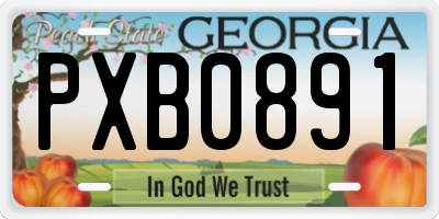GA license plate PXB0891