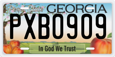 GA license plate PXB0909