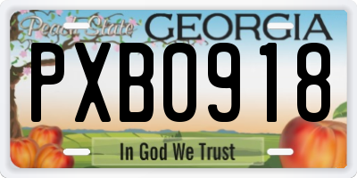 GA license plate PXB0918