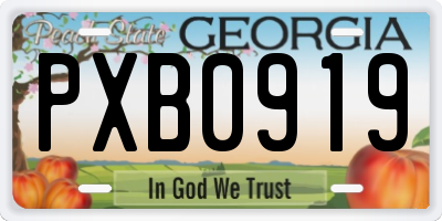 GA license plate PXB0919