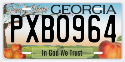 GA license plate PXB0964