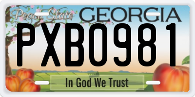 GA license plate PXB0981
