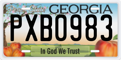 GA license plate PXB0983