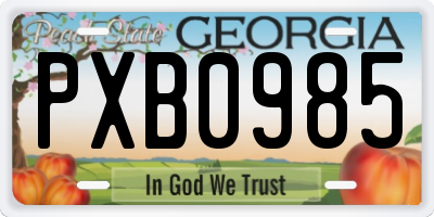 GA license plate PXB0985