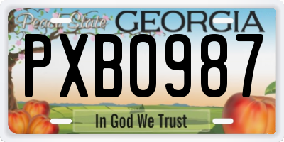 GA license plate PXB0987