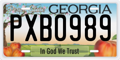 GA license plate PXB0989