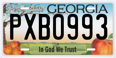 GA license plate PXB0993