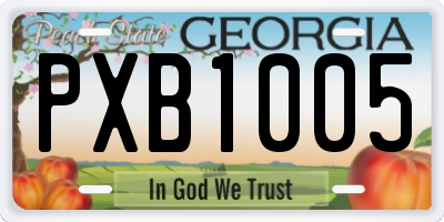 GA license plate PXB1005