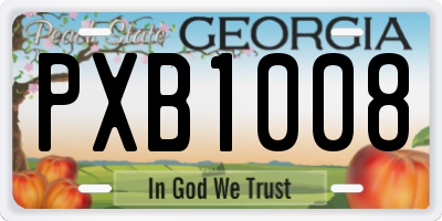 GA license plate PXB1008