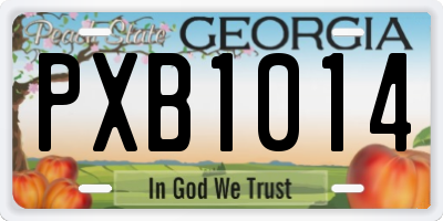 GA license plate PXB1014