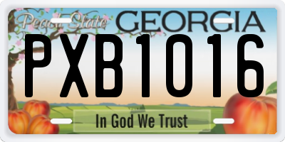 GA license plate PXB1016