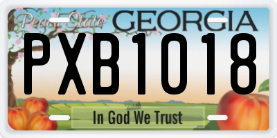 GA license plate PXB1018