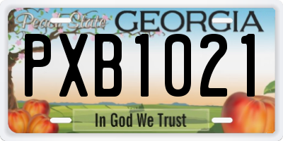 GA license plate PXB1021