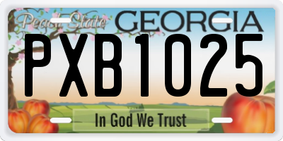 GA license plate PXB1025