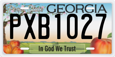 GA license plate PXB1027