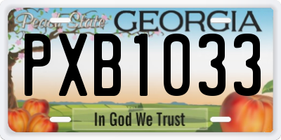 GA license plate PXB1033