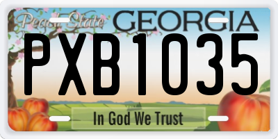 GA license plate PXB1035
