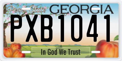 GA license plate PXB1041