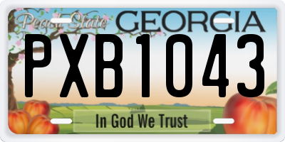 GA license plate PXB1043