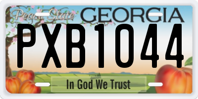 GA license plate PXB1044