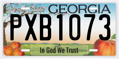 GA license plate PXB1073