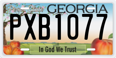GA license plate PXB1077