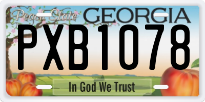 GA license plate PXB1078