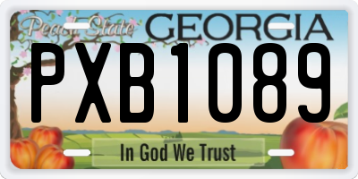 GA license plate PXB1089