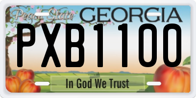 GA license plate PXB1100