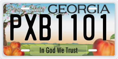 GA license plate PXB1101