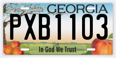 GA license plate PXB1103