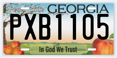 GA license plate PXB1105