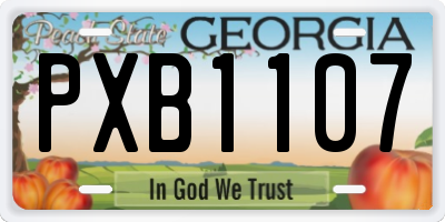 GA license plate PXB1107