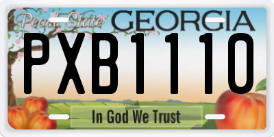 GA license plate PXB1110