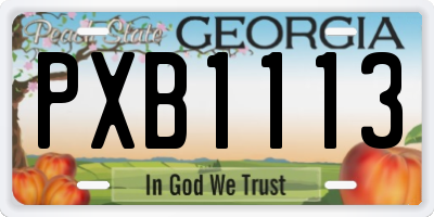 GA license plate PXB1113