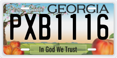 GA license plate PXB1116