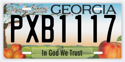 GA license plate PXB1117