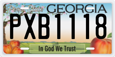 GA license plate PXB1118