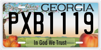 GA license plate PXB1119