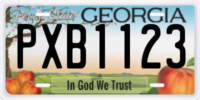 GA license plate PXB1123