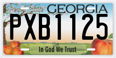 GA license plate PXB1125