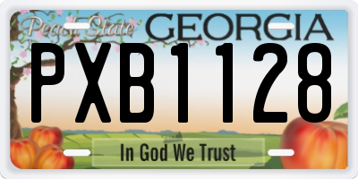 GA license plate PXB1128