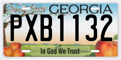 GA license plate PXB1132